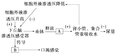 羧酸盐是否易溶于水的研究